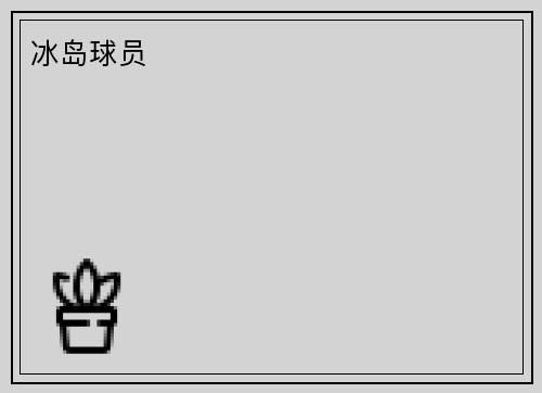 冰岛球员