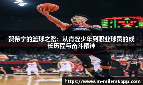 m6米乐体育